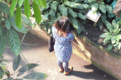 009-eden-project-03-15
